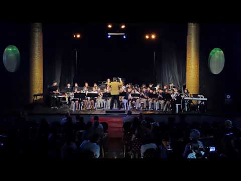 The Lion Sleeps Tonight