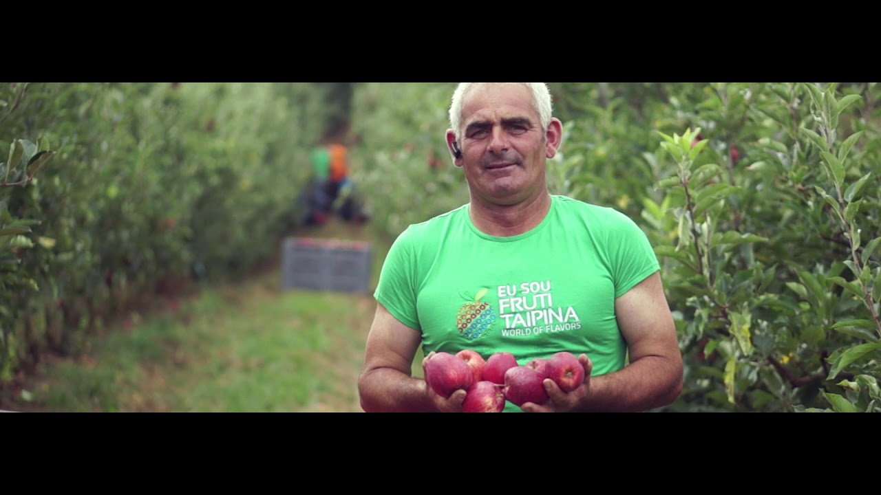 Fruti-Taipina Lda