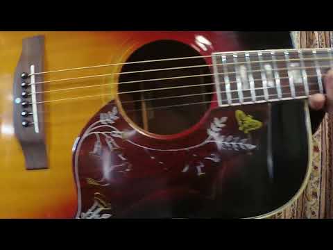 Early 1970’s Canda 202 Hummingbird Model MIJ by Fujigen Gakki+Old Flight Case, All New Frets image 26