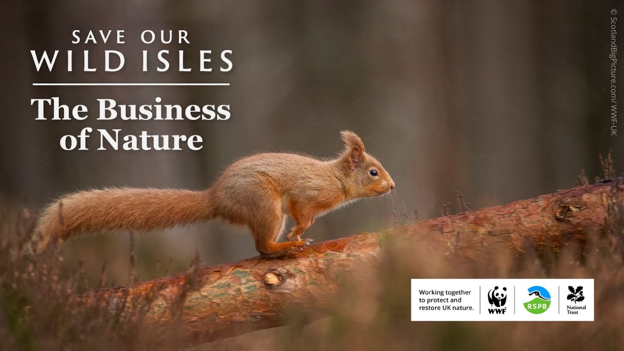 Save Our Wild Isles: The Business of Nature