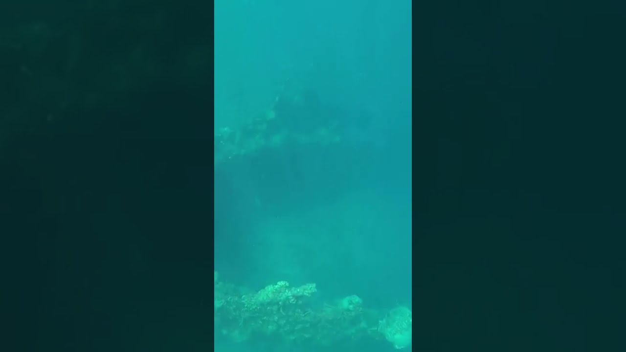 YouTube Short thumbnail