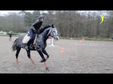 Linksgalopp will gelernt sein | Falco & Bourbon Folge 23