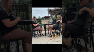 Teaching Your Service Dog to “Do Nothing” Around Other Dogs