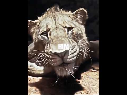 Taka chose to save Mufasa twice #shorts #trending #edit #viralvideo
