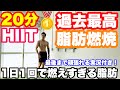 【1日1回】キツイから痩せる!!HIITで脂肪燃焼!!
