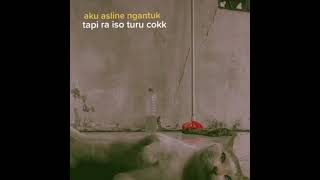 Download lagu INSTAL STORY' WA || RA ISO TURU #shorts mp3 Download lagu INSTAL STORY' WA || RA ISO TURU #shorts mp3