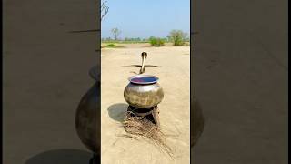 Download lagu Snap kasa pani ma gia😳 mp3