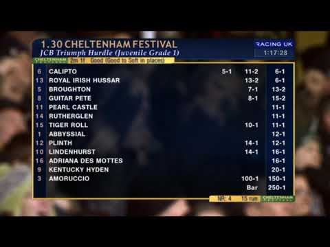 Tiger Roll Triumph Hurdle 2014 Cheltenham