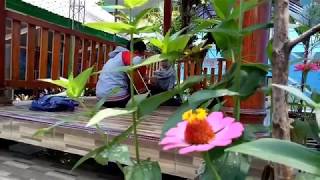 Download lagu KARNA SU SAYANG Versi Arab | X MIPA 4 KELOMPOK 1 mp3