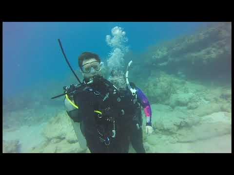 Rainbow Reef Dive Trip Florida Keys!