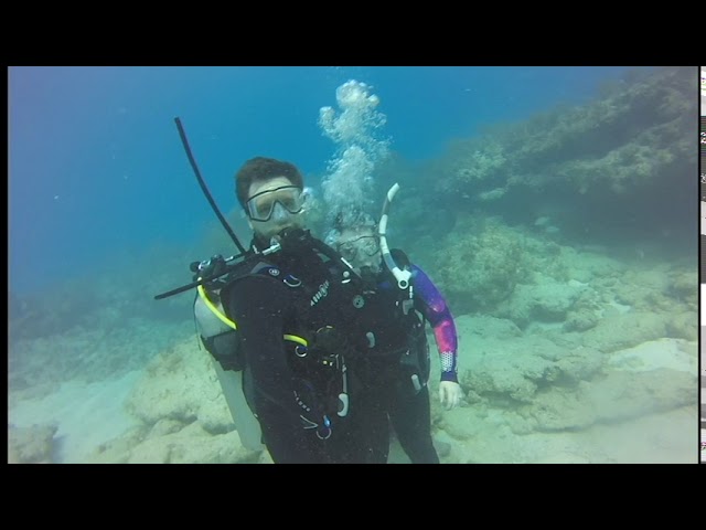 Rainbow Reef Dive Trip Florida Keys!