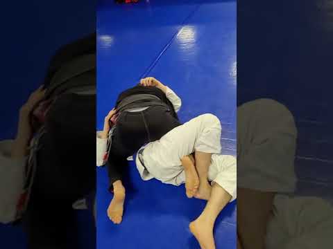 Passing Half Guard to Mount