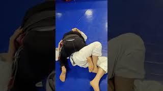 Passing Half Guard to Mount