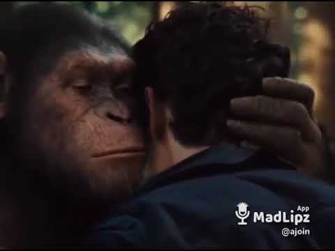 Mag ik u knuffelen en kussen ?