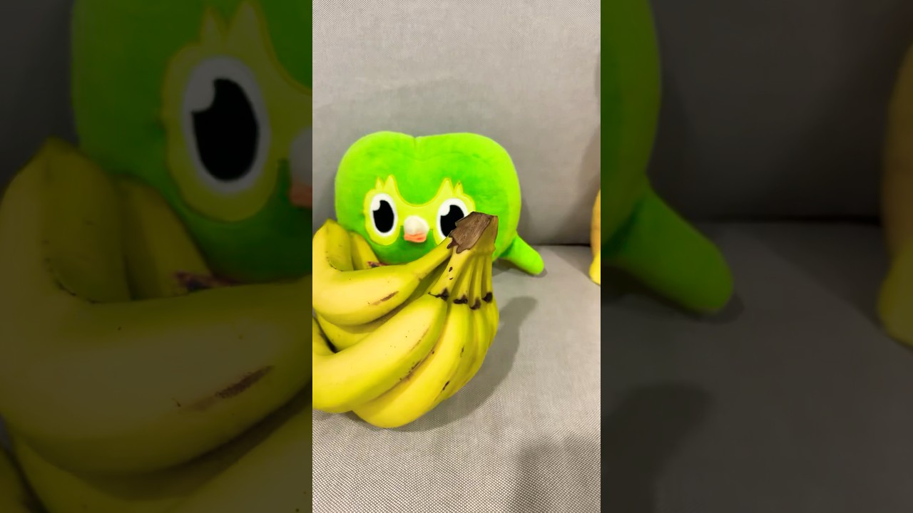 Someone Explain This Behavior Please #Duolingo #WhatIsGoingOn #Shorts