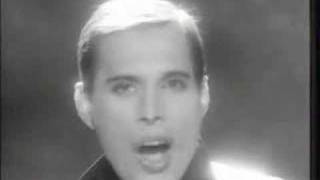 QUEEN: These Are The Days Of Our Lives