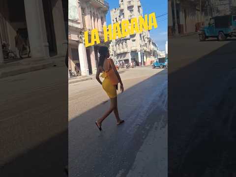 Estilo y motor en Galiano/La Habana