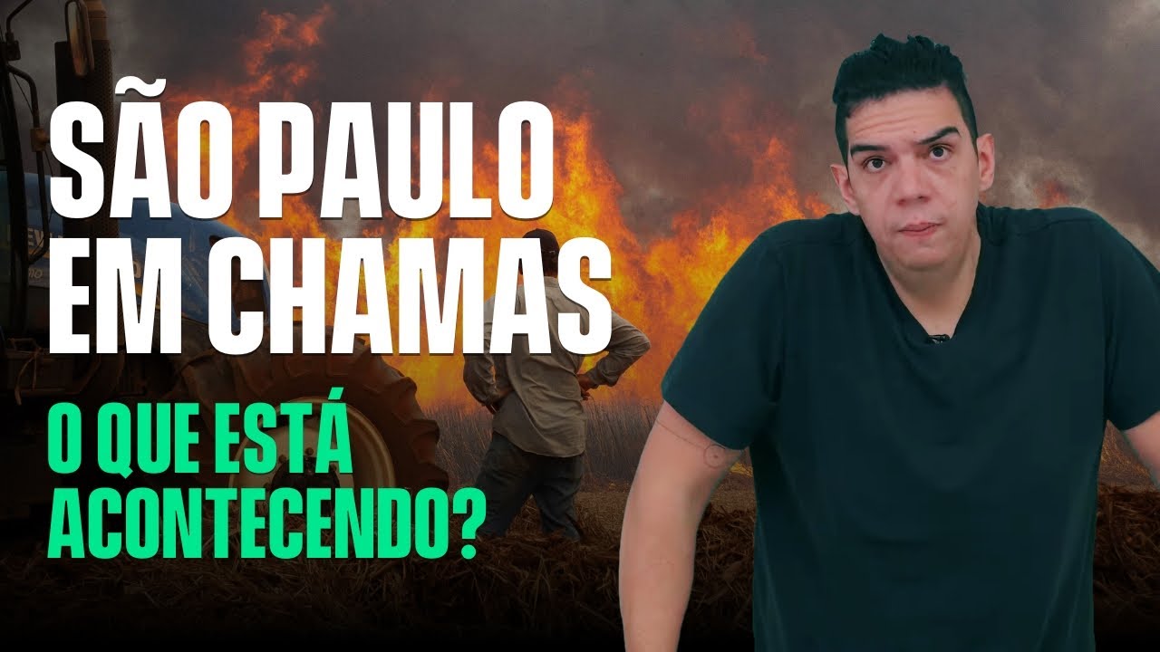 QUEIMADAS em SÃO PAULO | ATUALIDADES