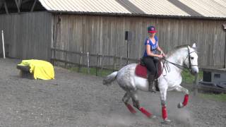 james carter fiona carter porte ouverte