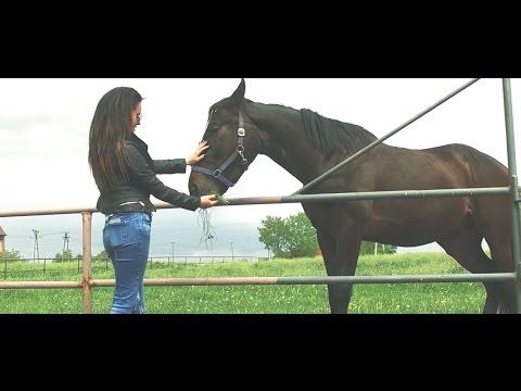 04. Fenix "Powiem jedno Ci" prod. L PRO (OFFICIAL VIDEO)