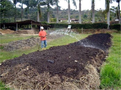 Compostagem orgânica vegetal como fazer