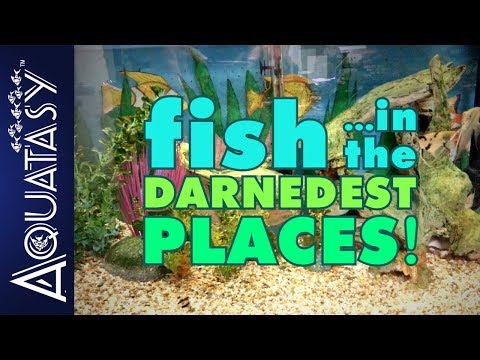 Aquatasy - Fish In The Darnedest Places - Episode 04 - Mechanically Inclined?