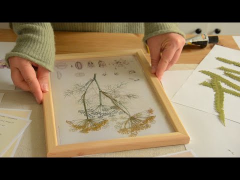 Wall Organization | I turn dry flowers into art. Preparation of medicinal honey from dandelions.