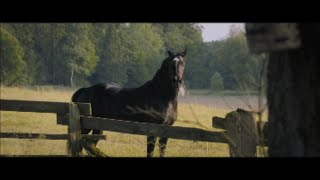 Фильм для всей семьи ( Восточный ветер 4: Легенда о Воине )