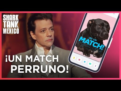 Matchdog: Tinder para perros | Shark Tank Mexico