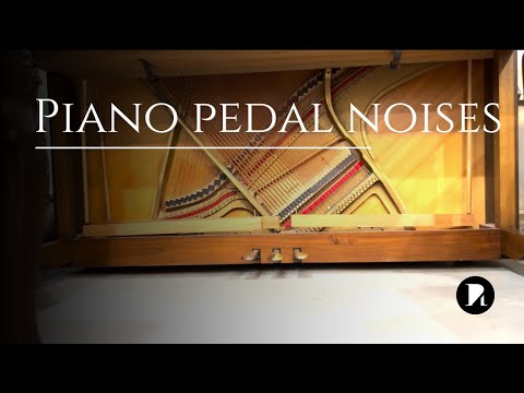 Is your piano pedal noisy? Inspect all the contact points in order to find the issue.