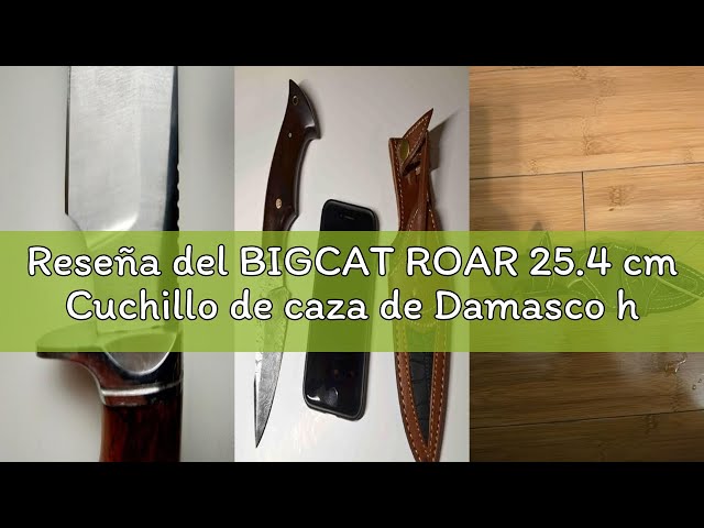 Vídeo relacionado con BIGCAT ROAR 25.4 cm Cuchillo de caza de Damasco hecho a mano con funda de cuero - Ideal para desollar, acampar - EDC Cuchillo de hoja fija con mango de madera de nogal - Predator Hunter