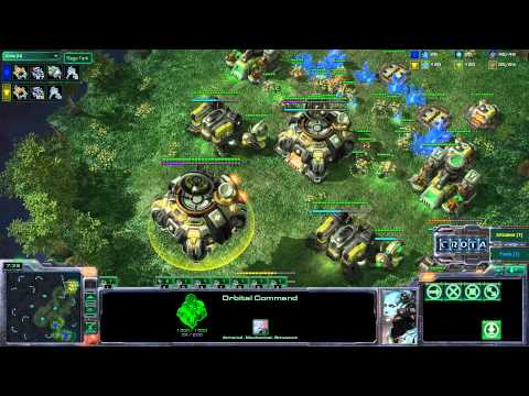 lzGamer (T) vs Fenix (T)  - G1 - CW_028