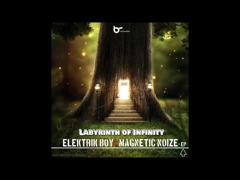 Elektrik Boy vs Magnetic Noize   Psylocibian Absolution