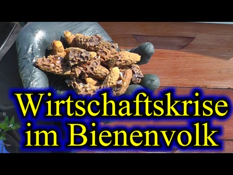 Und dann waren sie weg