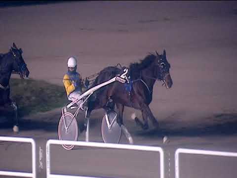 Trotto 18/12/2018 - 7ª corsa