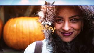 Free Template AE - 163