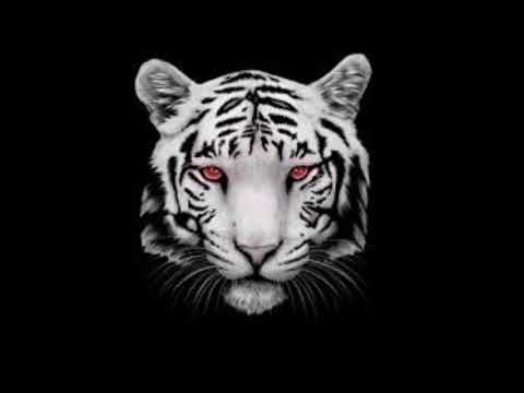 Mike Bars x SwizZz   There Will Be Blood Nightcore