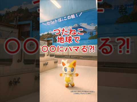 【都星人、○○にハマる？！】東京の銭湯文化をご紹介！