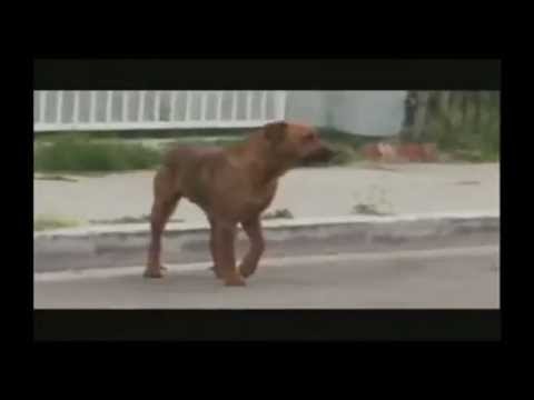 mah3r feat. Veela - "Displaced"