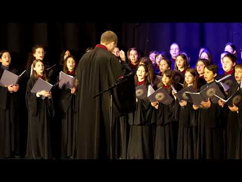 Stihira ,,Arena virtuților “