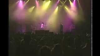 311  What Was I Thinking Of  2007 Live