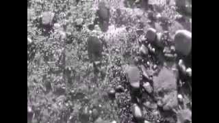 31 dec happy ending (new body, papercuts)