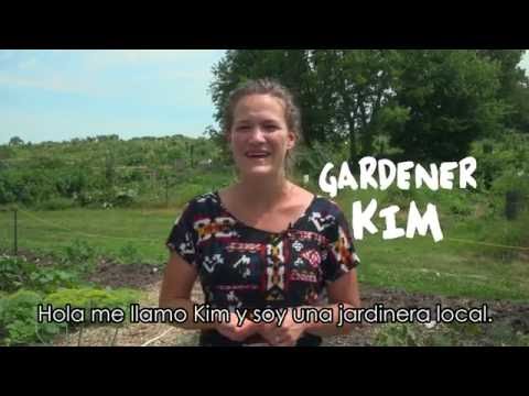 download lagu mp3 mp4 Lettuce Food Group, download lagu Lettuce Food Group gratis, unduh video klip Lettuce Food Group