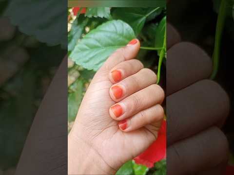 Red Hibicus Flower | A Burst of Floral Beauty🌺🌹🌷#shorts #viralvideo #nature #flowers