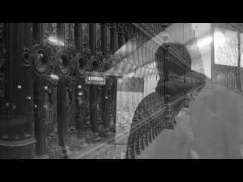 zandrine - wish you were here (cover feat. yann)