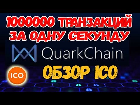 ICO В ПЛЮС! ОБЗОР ICO проекта Quarkchain ! (QUARKCHAIN ICO)