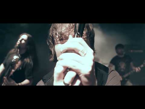 Killed A Fox - Hive [official video]