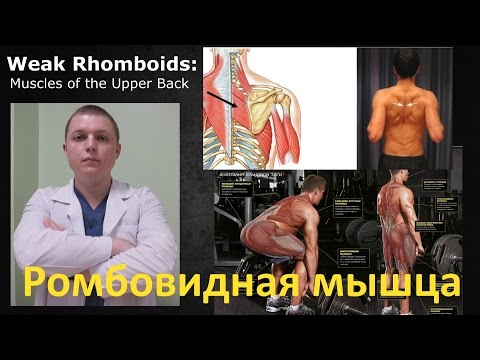 Ноги отекают и опухают суставы По утрам болит спина внизу живота