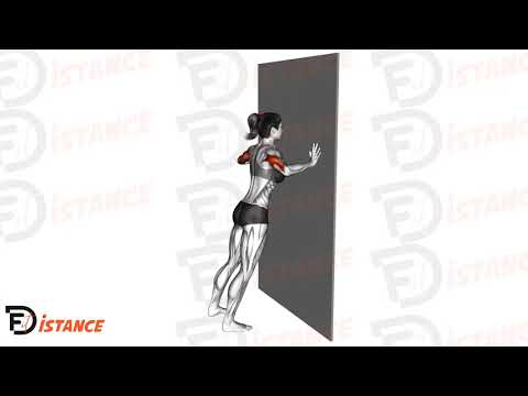 Pompes contre le mur - Exercice Pompes contre le mur en vidéo Pompes contre le mur - Exercice Pompes contre le mur en vidéo