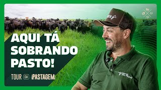 TOUR DA PASTAGEM - EP. #001